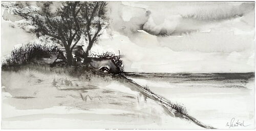 "Darß - Hinter den Dünen" Japantusche auf satiniertem Archespapier 15 x 30 cm